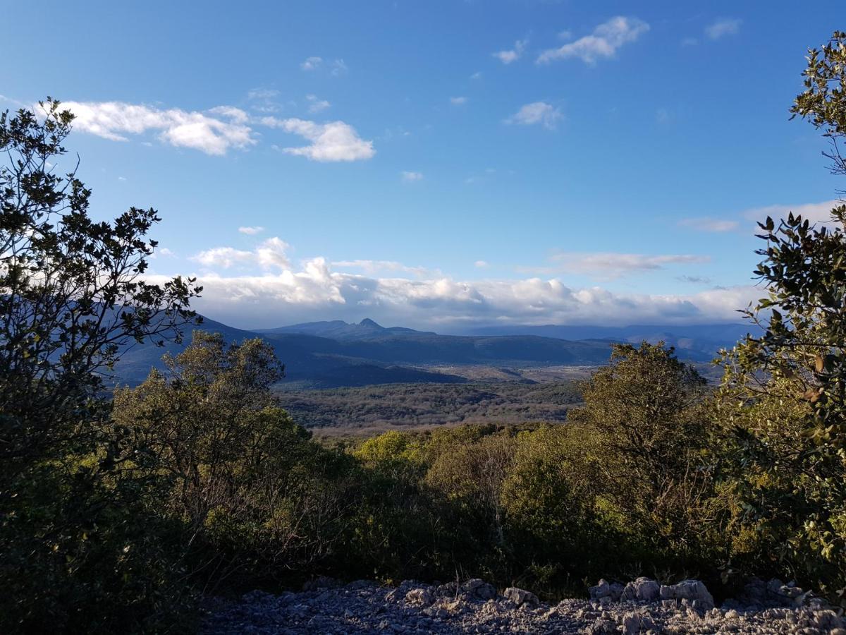 Mas De Coulet Bed & Breakfast Brissac Bagian luar foto